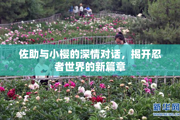 佐助与小樱的深情对话，揭开忍者世界的新篇章
