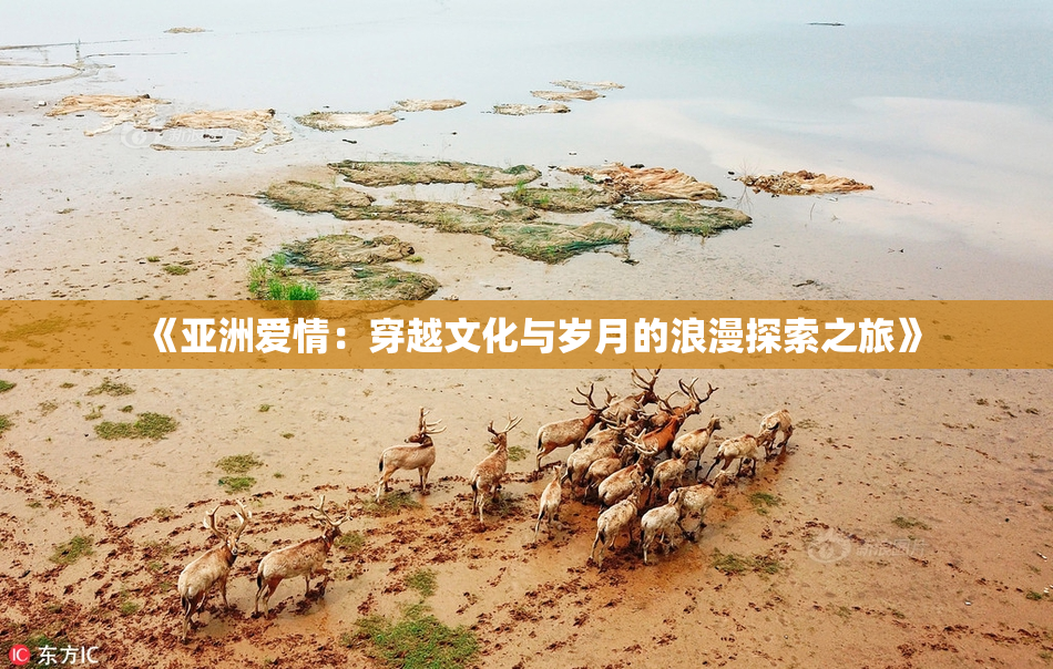 《亚洲爱情：穿越文化与岁月的浪漫探索之旅》