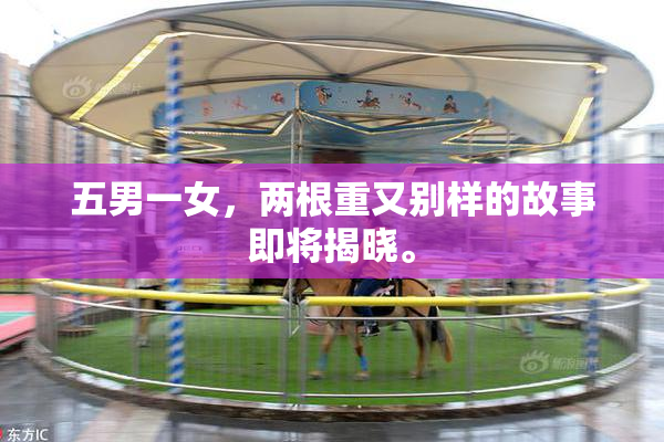 五男一女，两根重又别样的故事即将揭晓。