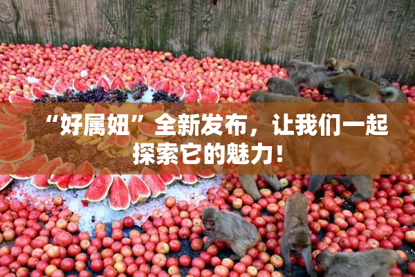 “好属妞”全新发布，让我们一起探索它的魅力！