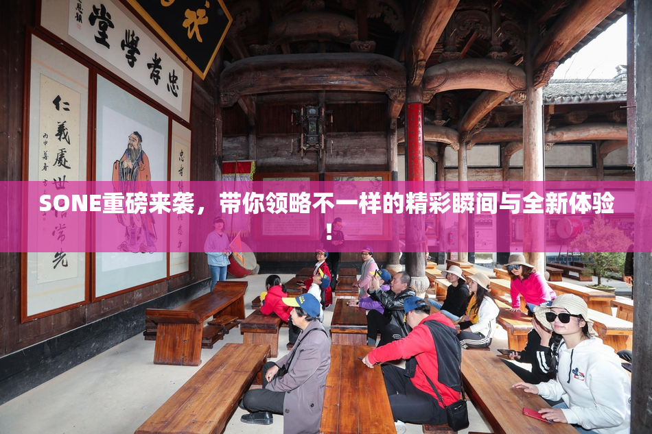 SONE重磅来袭，带你领略不一样的精彩瞬间与全新体验！