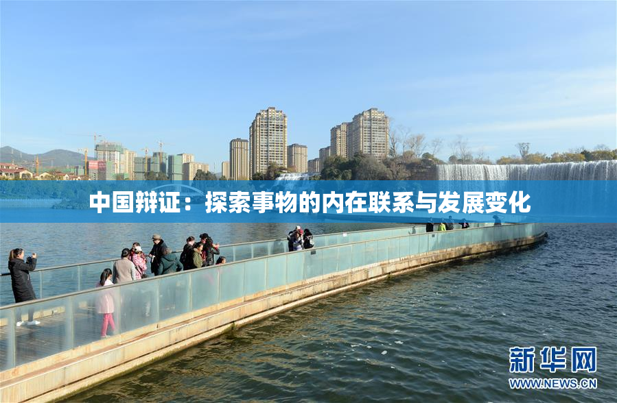 中国辩证：探索事物的内在联系与发展变化