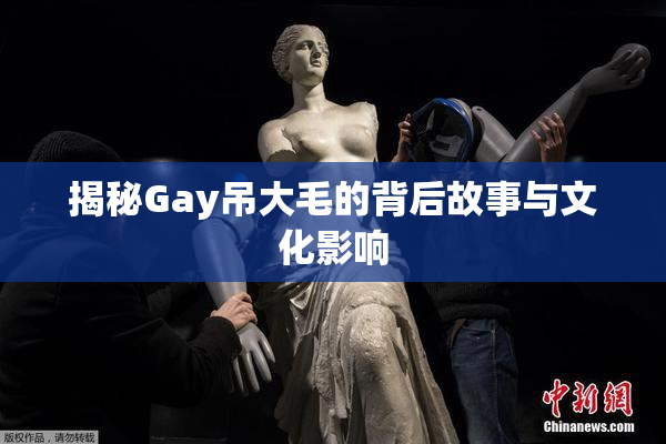 揭秘Gay吊大毛的背后故事与文化影响