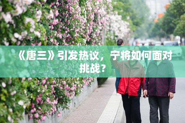 《唐三》引发热议，宁将如何面对挑战？