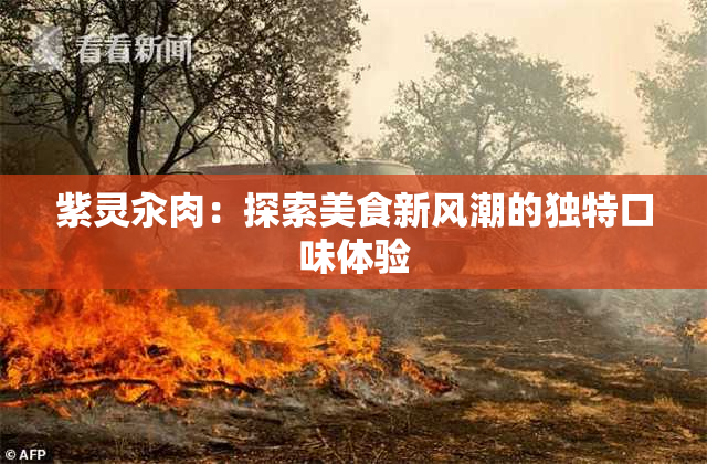紫灵汆肉：探索美食新风潮的独特口味体验
