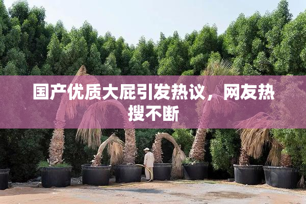 国产优质大屁引发热议，网友热搜不断
