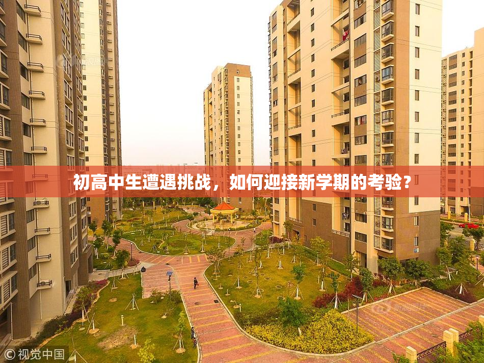 初高中生遭遇挑战，如何迎接新学期的考验？