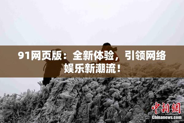 91网页版：全新体验，引领网络娱乐新潮流！