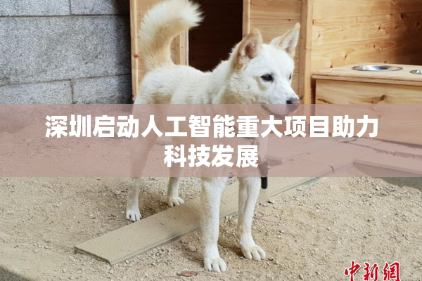 深圳启动人工智能重大项目助力科技发展