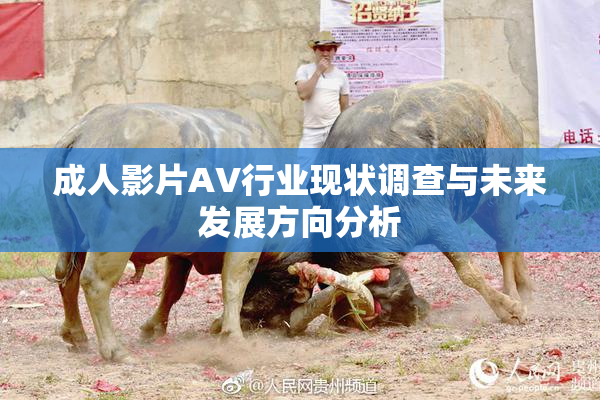 成人影片AV行业现状调查与未来发展方向分析