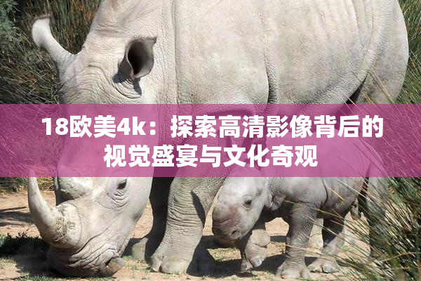 18欧美4k：探索高清影像背后的视觉盛宴与文化奇观