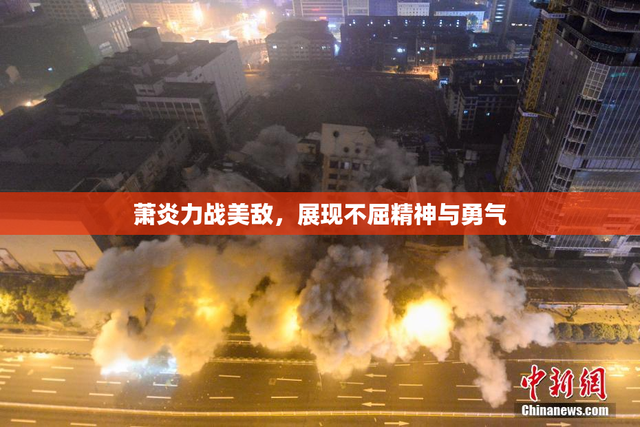 萧炎力战美敌，展现不屈精神与勇气