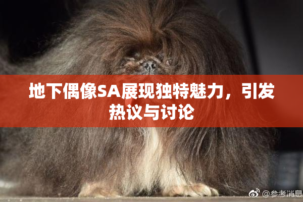 地下偶像SA展现独特魅力，引发热议与讨论