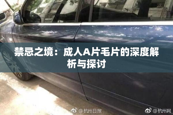 禁忌之境：成人A片毛片的深度解析与探讨