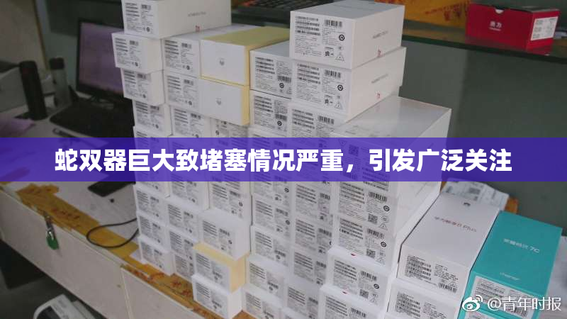 蛇双器巨大致堵塞情况严重，引发广泛关注