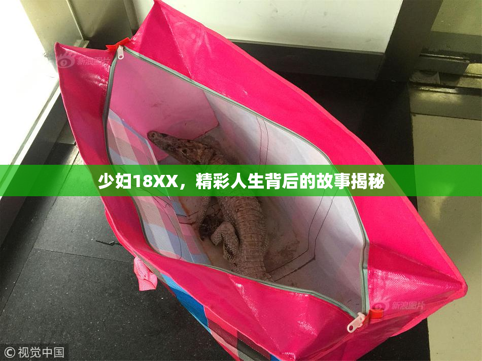 少妇18XX，精彩人生背后的故事揭秘