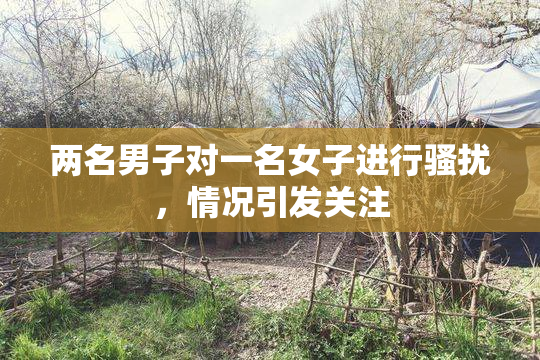 两名男子对一名女子进行骚扰，情况引发关注
