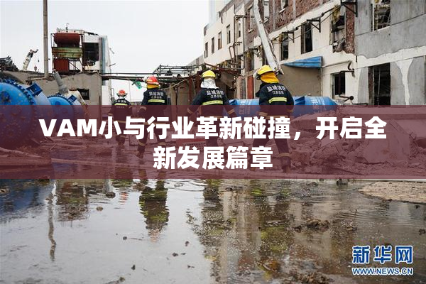 VAM小与行业革新碰撞，开启全新发展篇章