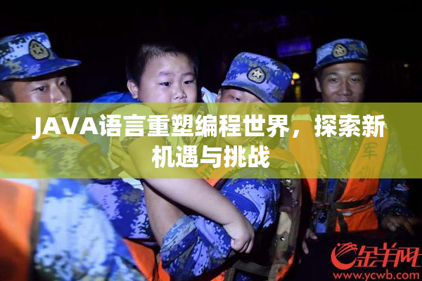 JAVA语言重塑编程世界，探索新机遇与挑战