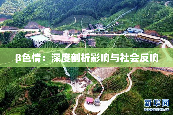 β色情：深度剖析影响与社会反响