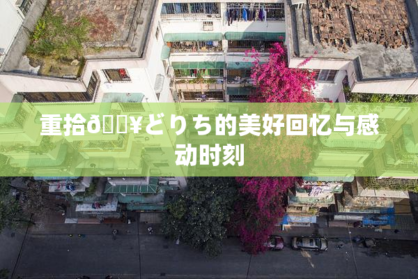 重拾🔥どりち的美好回忆与感动时刻