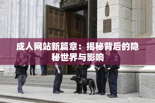 成人网站新篇章：揭秘背后的隐秘世界与影响