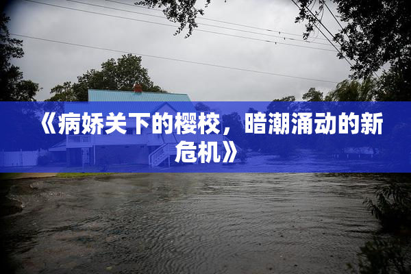 《病娇关下的樱校，暗潮涌动的新危机》