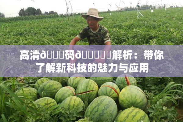 高清🈚码🔞❌‌解析：带你了解新科技的魅力与应用