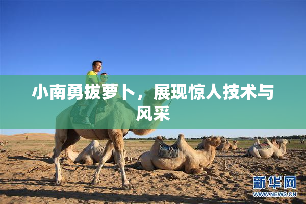 小南勇拔萝卜，展现惊人技术与风采