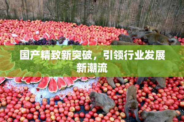国产精致新突破，引领行业发展新潮流