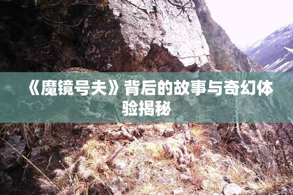 《魔镜号夫》背后的故事与奇幻体验揭秘