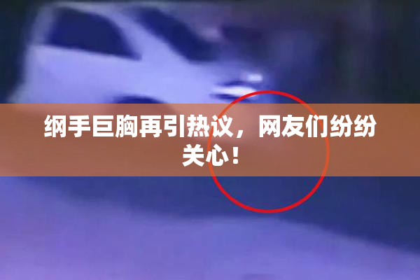 纲手巨胸再引热议，网友们纷纷关心！