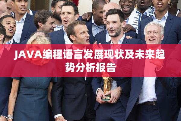 JAVA编程语言发展现状及未来趋势分析报告