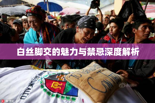 白丝脚交的魅力与禁忌深度解析
