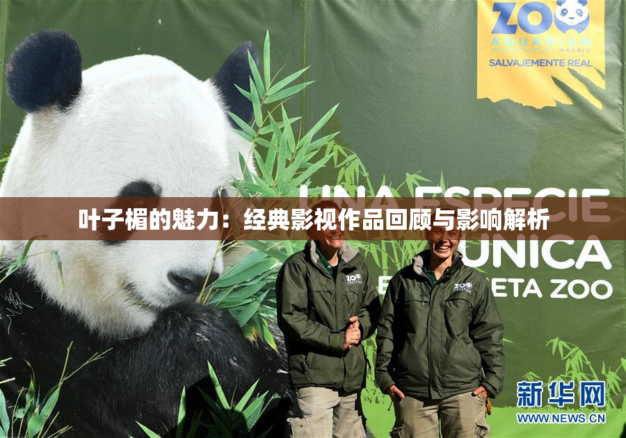 叶子楣的魅力：经典影视作品回顾与影响解析