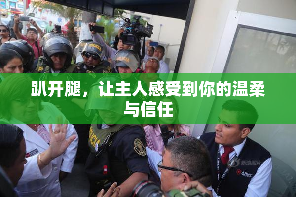趴开腿，让主人感受到你的温柔与信任