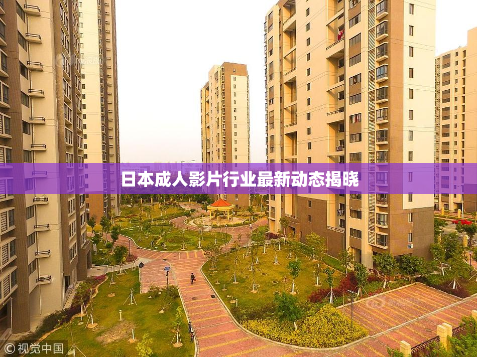 日本成人影片行业最新动态揭晓
