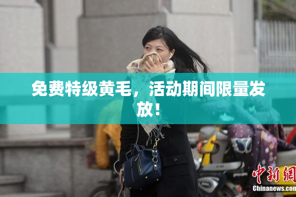 免费特级黄毛，活动期间限量发放！