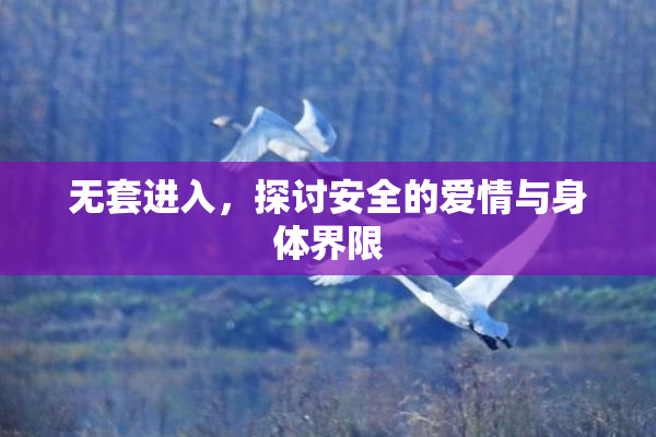 无套进入，探讨安全的爱情与身体界限