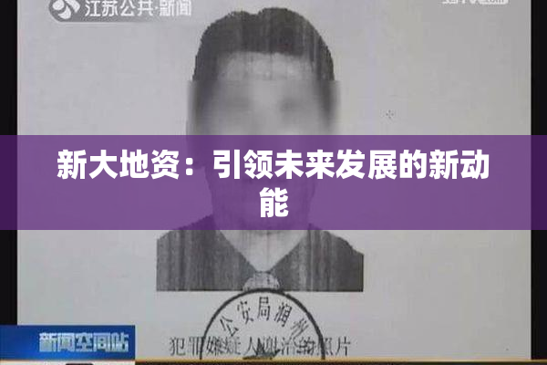 新大地资：引领未来发展的新动能