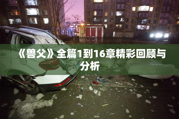 《兽父》全篇1到16章精彩回顾与分析