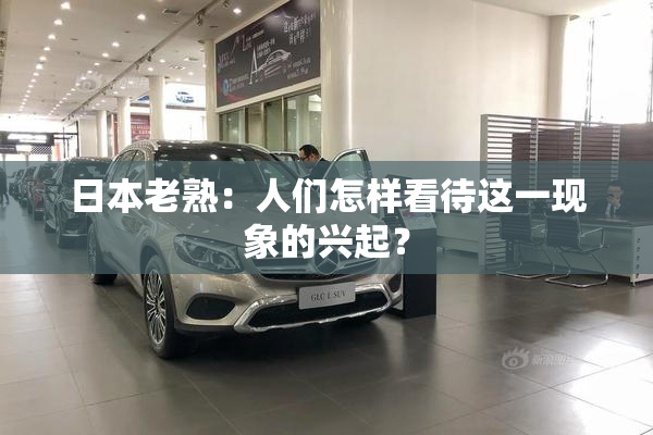 日本老熟：人们怎样看待这一现象的兴起？