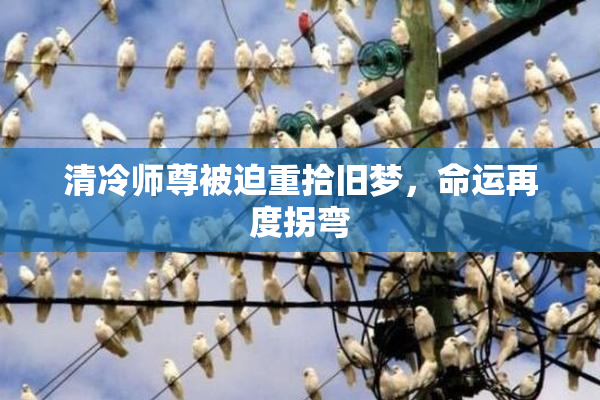 清冷师尊被迫重拾旧梦，命运再度拐弯