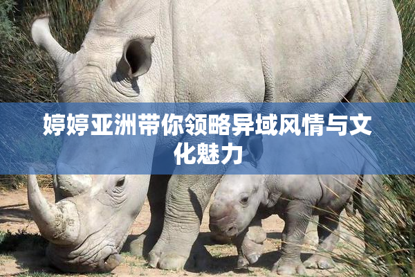 婷婷亚洲带你领略异域风情与文化魅力