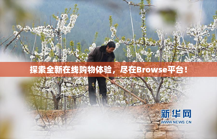 探索全新在线购物体验，尽在Browse平台！
