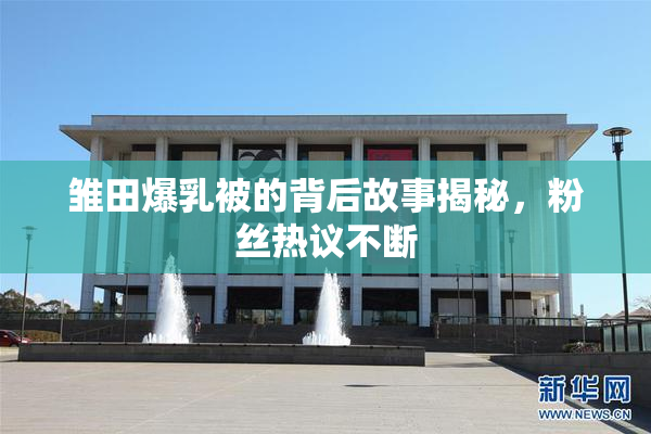 雏田爆乳被的背后故事揭秘，粉丝热议不断