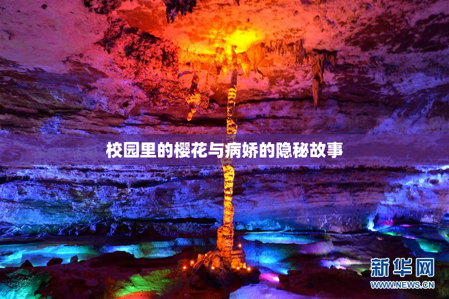 校园里的樱花与病娇的隐秘故事