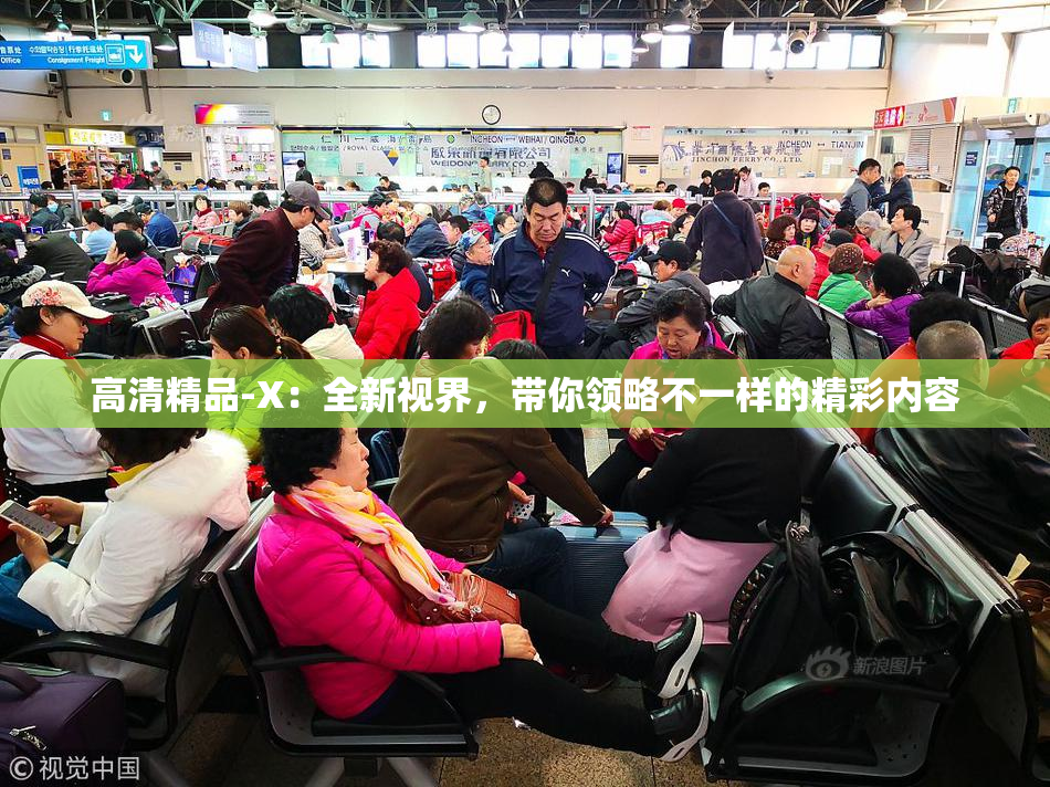 高清精品-X：全新视界，带你领略不一样的精彩内容
