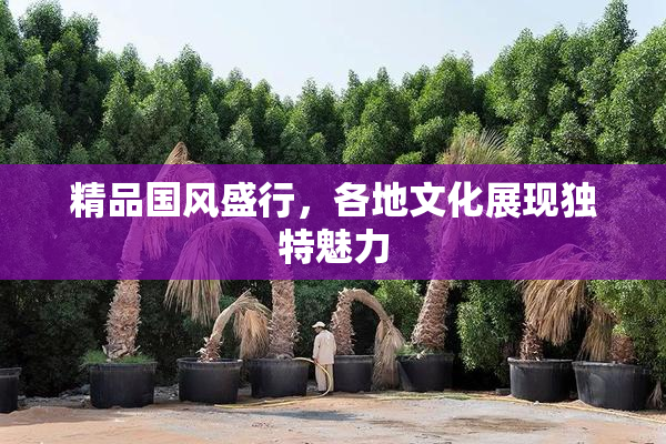 精品国风盛行，各地文化展现独特魅力
