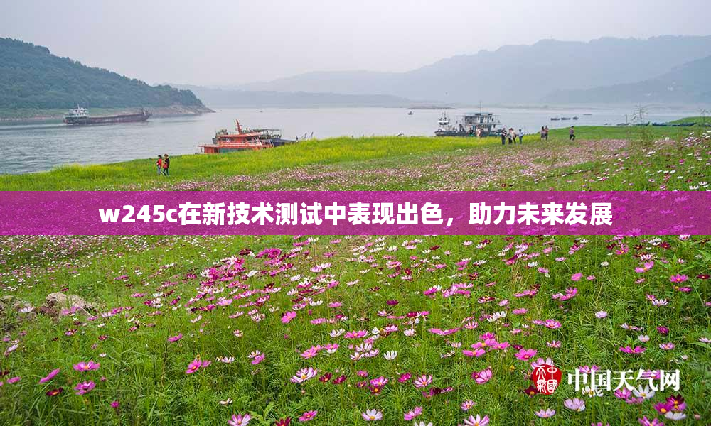 w245c在新技术测试中表现出色，助力未来发展